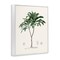 Stupell Industries Coastal Palms Vintage Framed Giclee, design by Val Rhodes